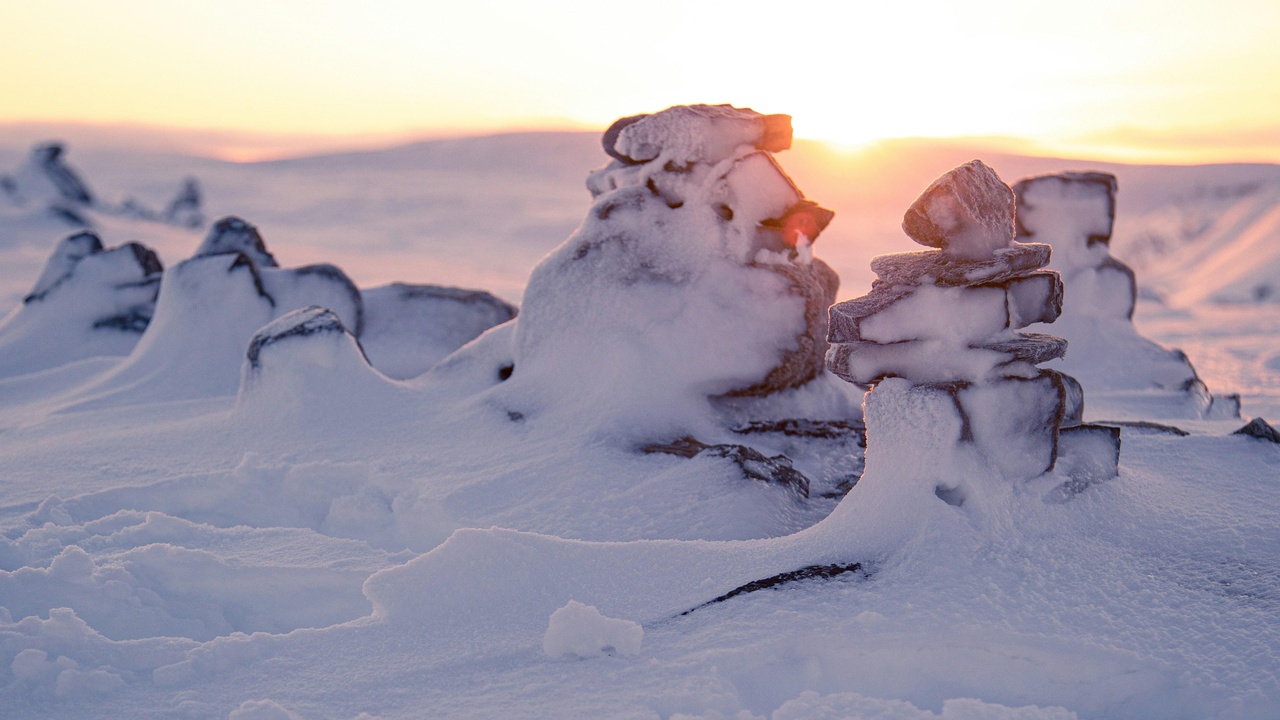 Snowy owl perched on tundra with distant mountains