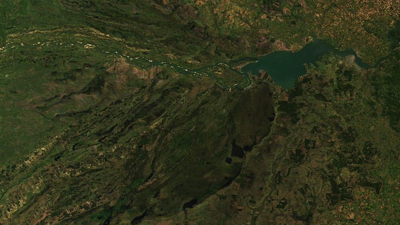 Capybara and wetlands of the Iberá in Argentina