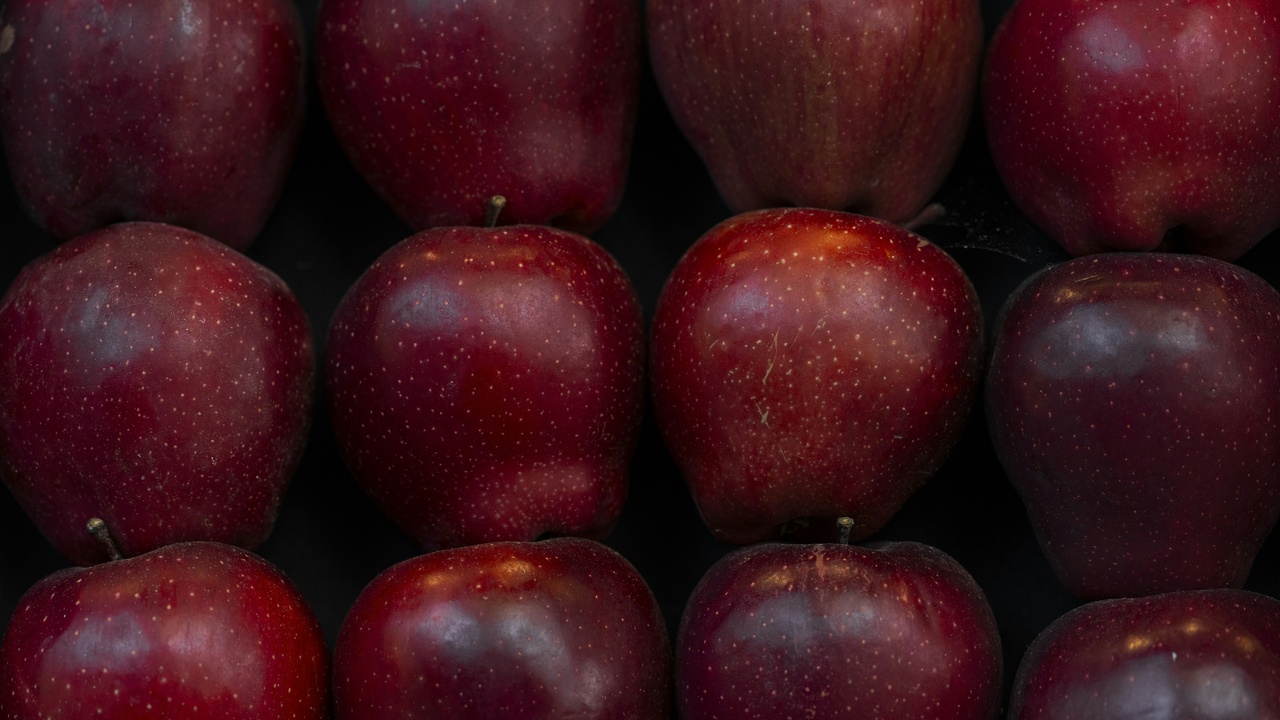 Market stand with organic produce and clear organic labels