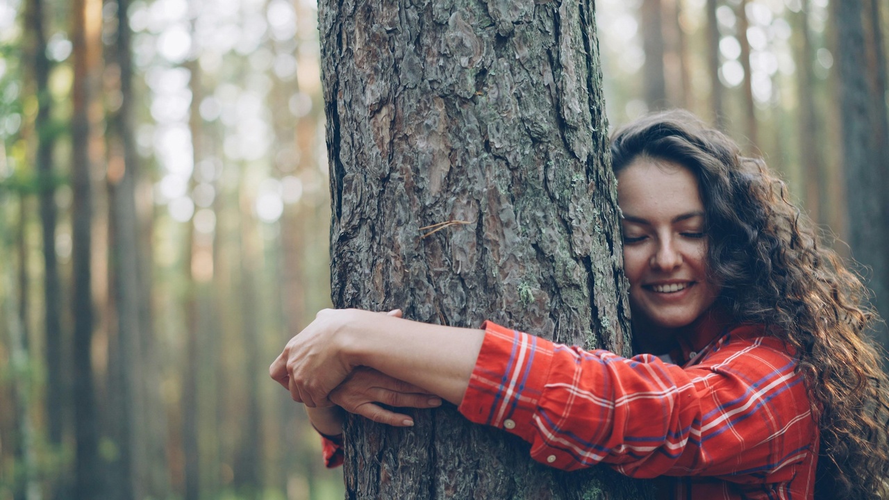 People walking in a forest enjoying nature for health and culture