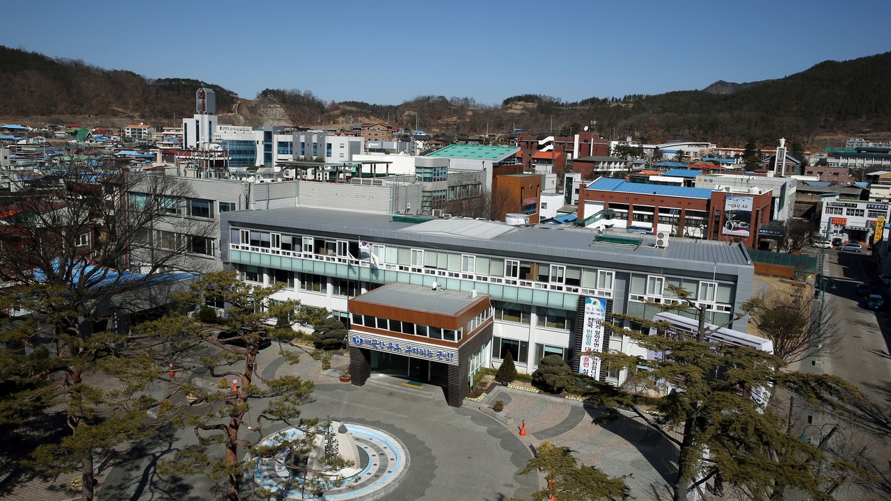 Researchers studying firefly biochemistry in a lab