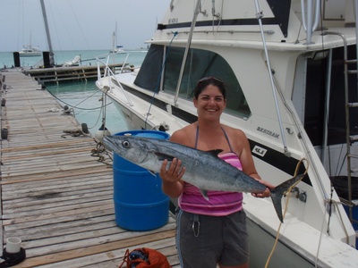 King mackerel