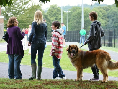 Leonberger