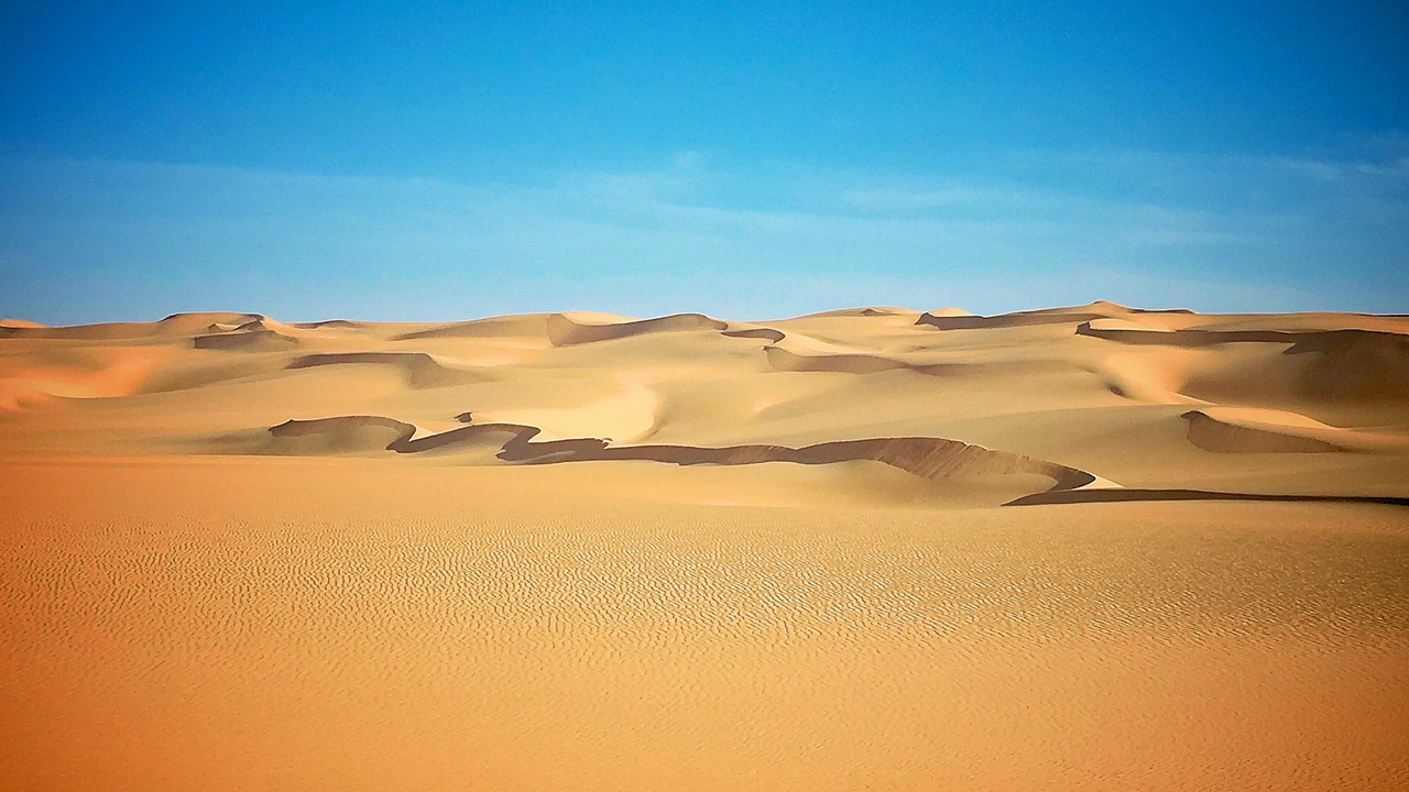 Desert mammals crossing dunes at sunset, evocative of Libyan Sahara