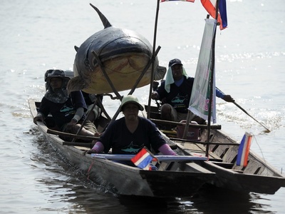 Mekong giant catfish