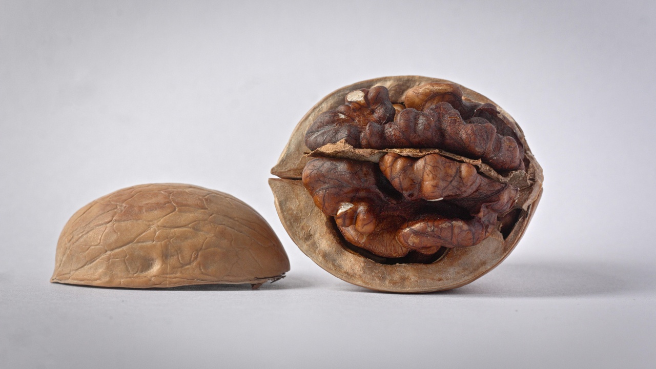 Comparison of nutritional profiles for common nuts and seeds.