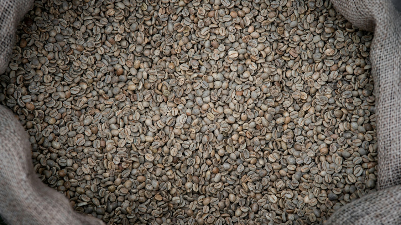 Bulk bags of dried black and pinto beans and canned bean options