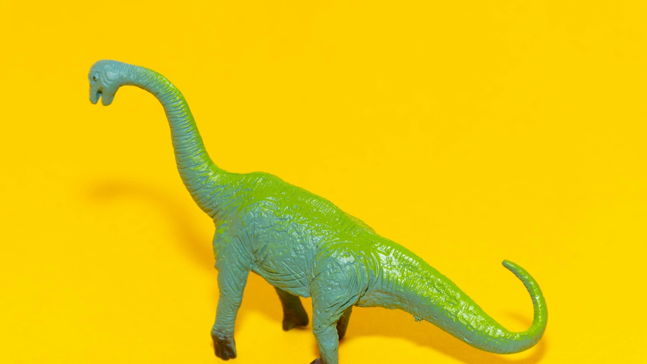 Fossil skeletons from prehistoric giant herbivores displayed at a dig site