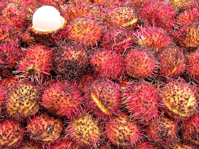Rambutan