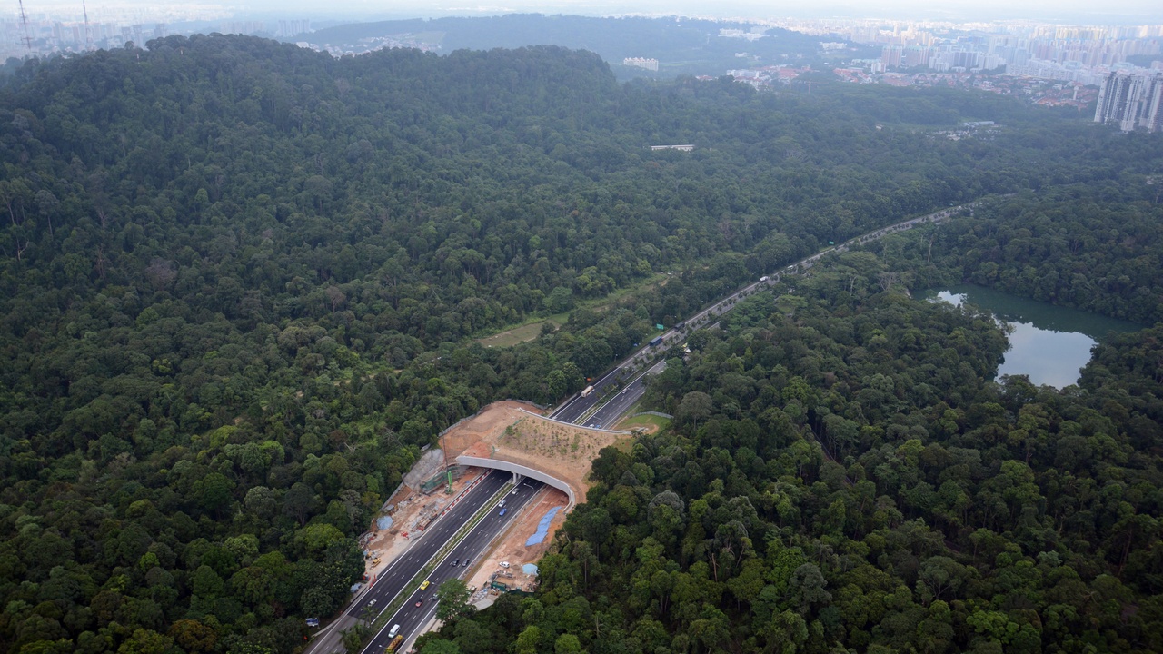 Rooftop nest boxes and urban green corridor supporting nesting and movement of city wildlife