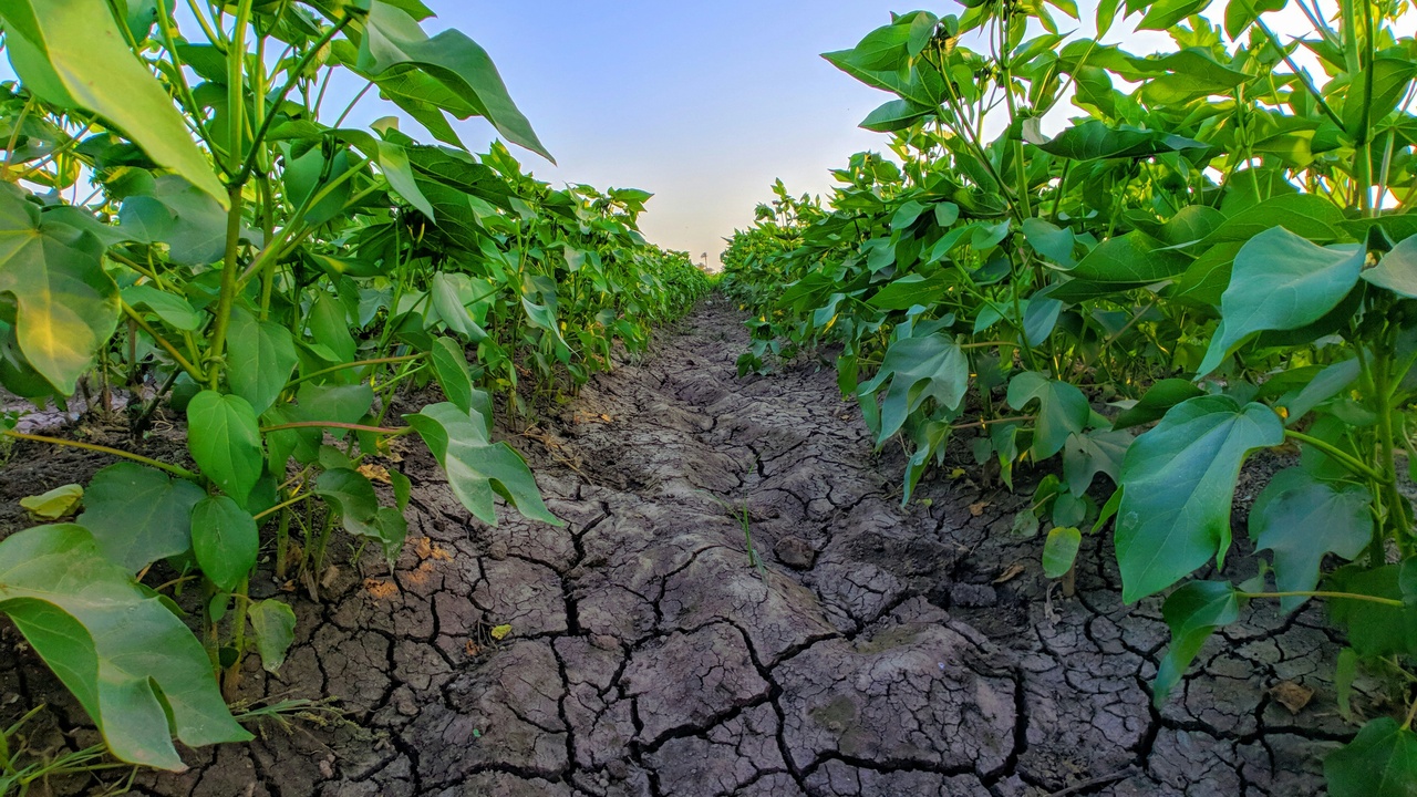 Farmer spreading compost on a field to build soil carbon and resilience