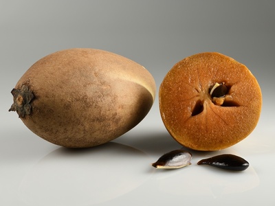 Sapodilla