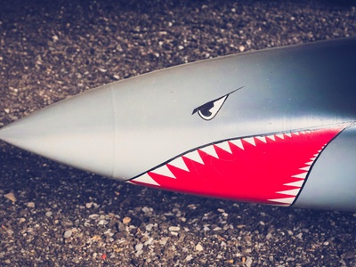 Shark (general safety)