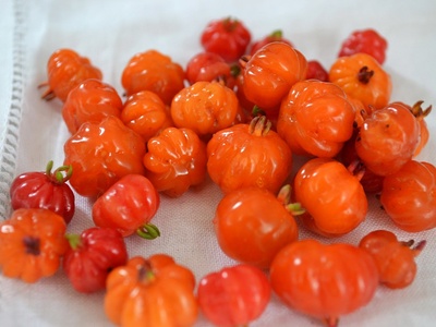 Surinam cherry