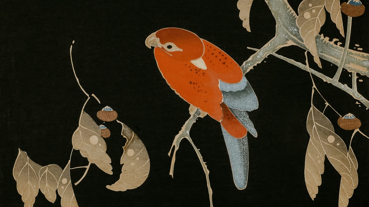 Diagram of songbird syrinx and skull anatomy showing vocal organs and muscles