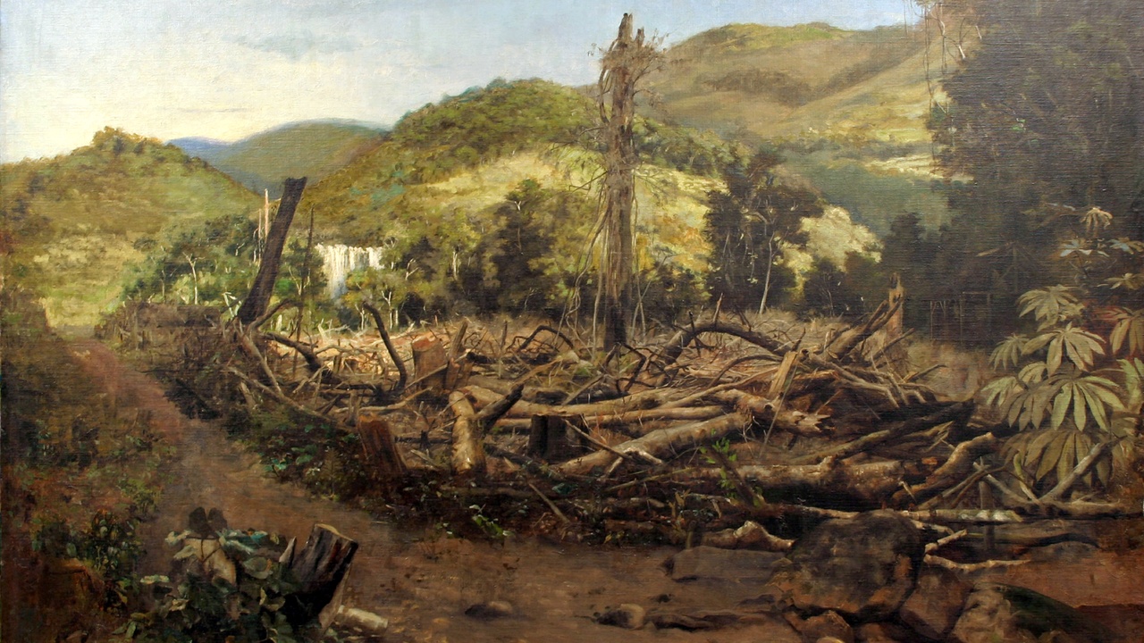 Deforested landscape showing soil erosion and river sedimentation