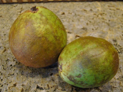 Guava