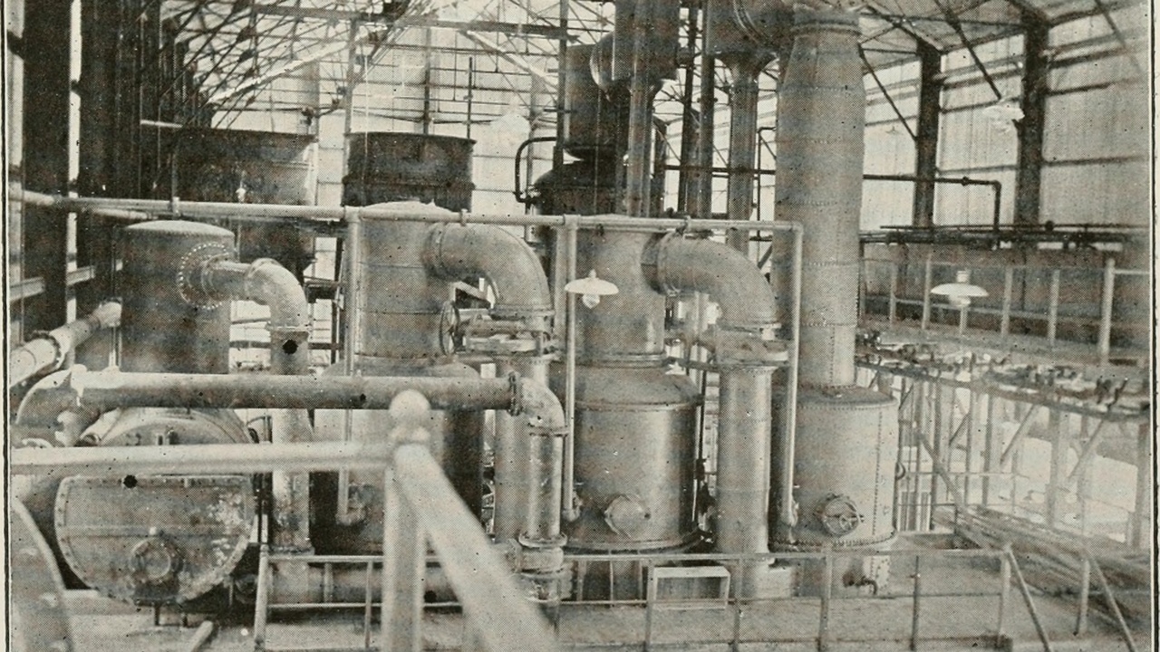 Cuban National Botanic Garden conservation work