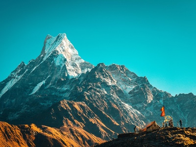 Himalayan