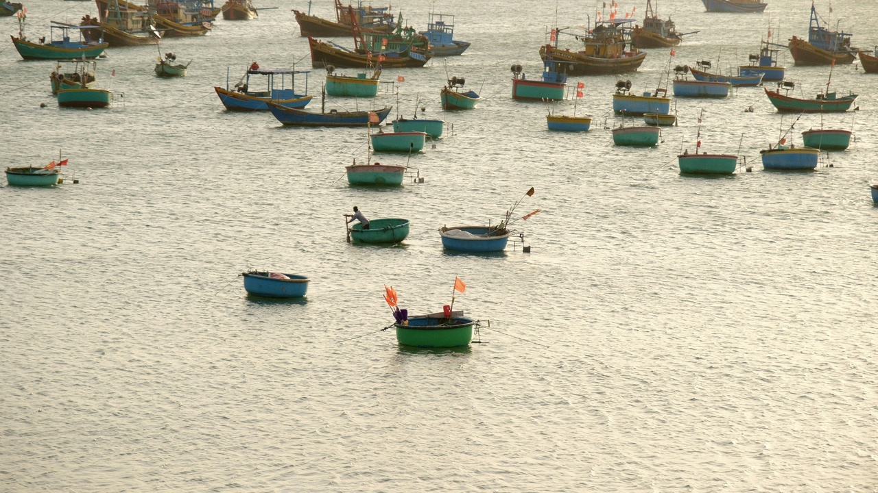 Coastal community and shellfish aquaculture adapting to changing seawater chemistry