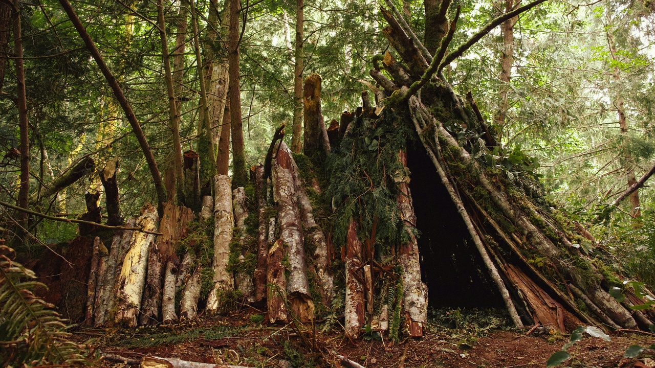 Indigenous community near forest edge and agricultural conversion