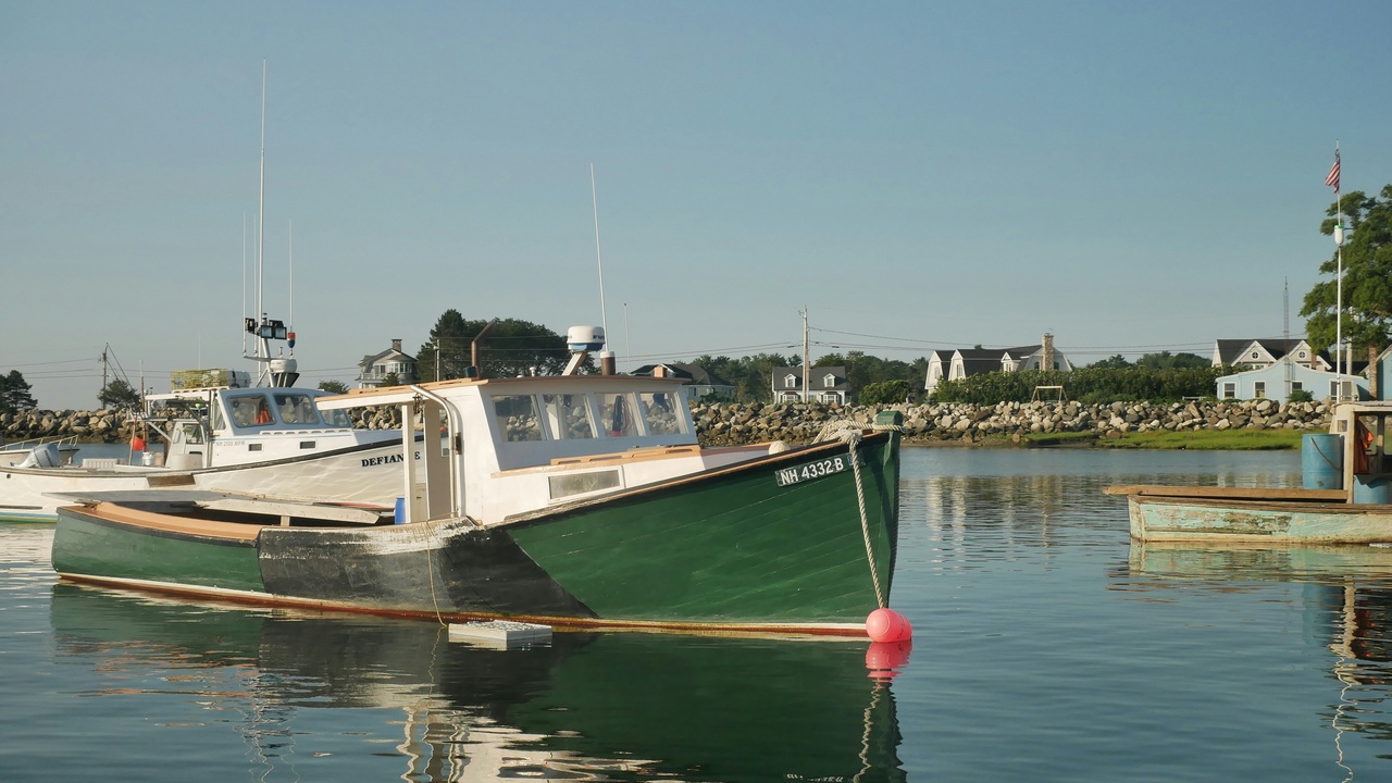 Fishermen unloading scallops at a dock, showing commercial fishery activity