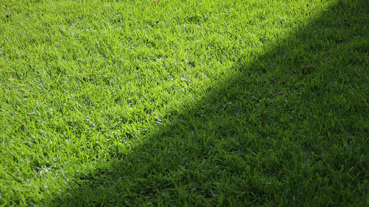 Soft, lush groundcovers like vinca and Irish moss between stones