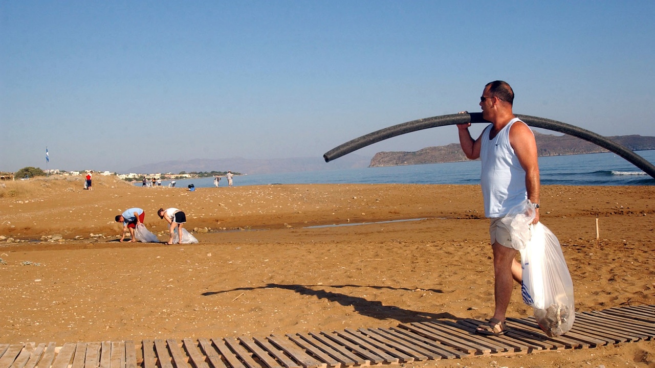 Loggerhead sea turtle on a nesting beach in Zakynthos, Greece, with marked nesting areas and volunteers on patrol.