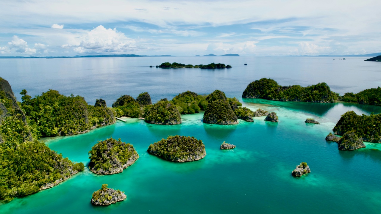 Raja Ampat reefs and marine life in the Coral Triangle