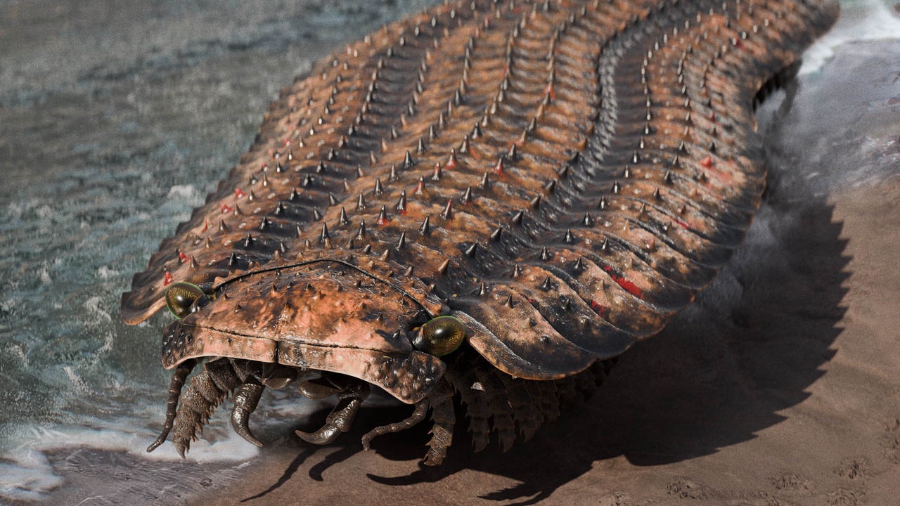 Millipede moving across leaf litter showing leg coordination