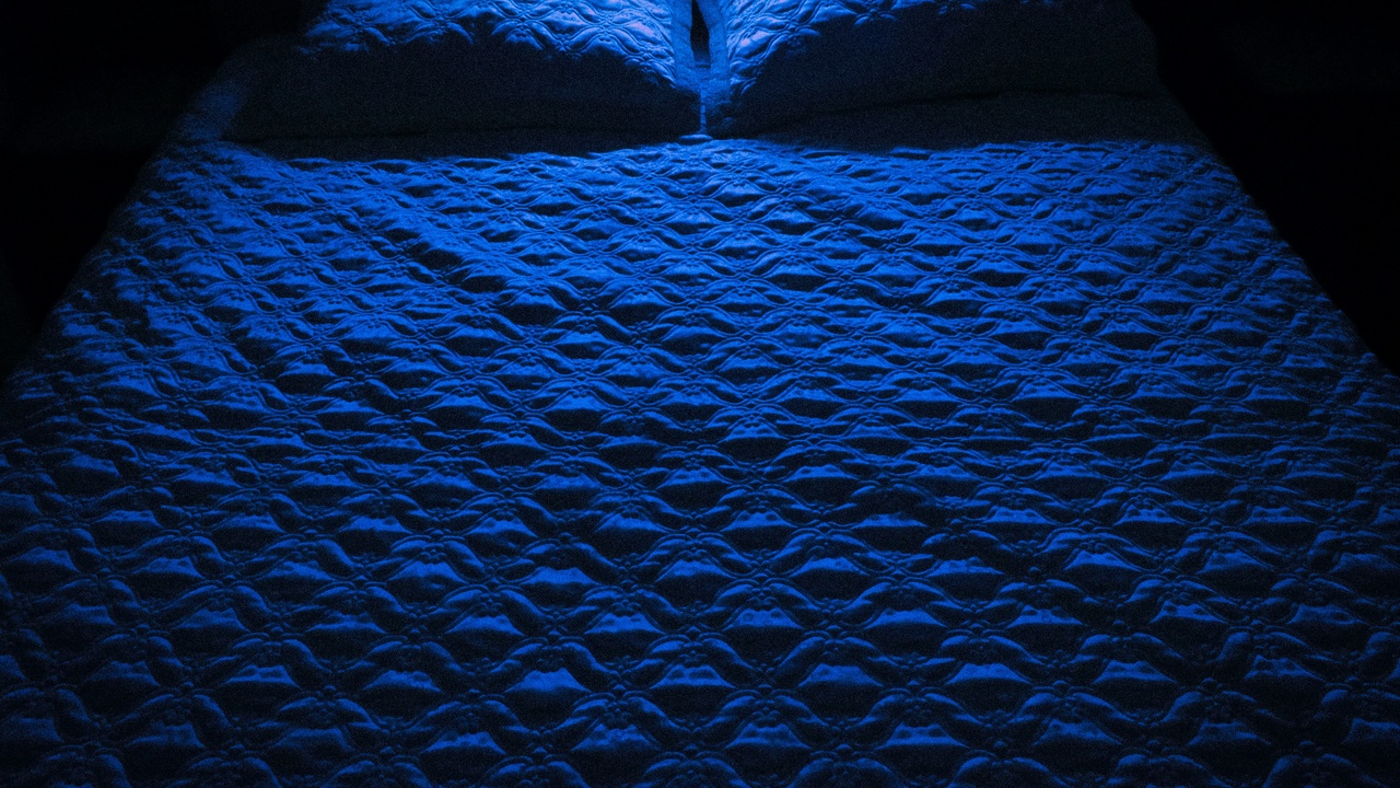 Russian Blue resting on a sofa pillow during an evening