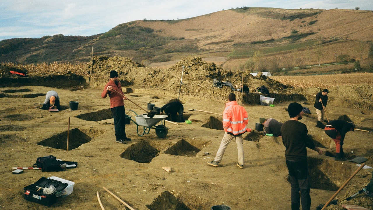 Gardener burying kitchen scraps in a trench in a vegetable bed