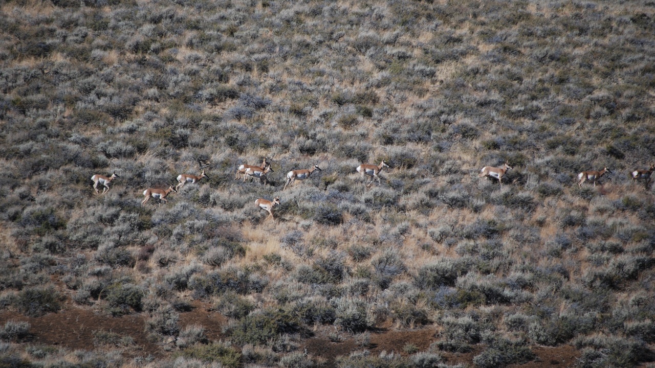 Insect hotel and meadow strip providing habitat for pollinators