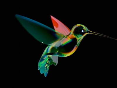 Sword-billed Hummingbird