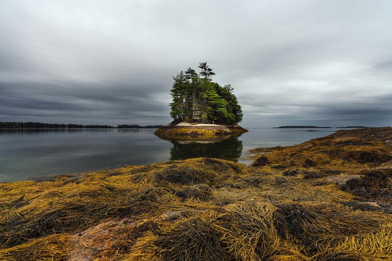 A tranquil island surrounded by water with dense trees under a cloudy sky, offering a peaceful natural scene.
