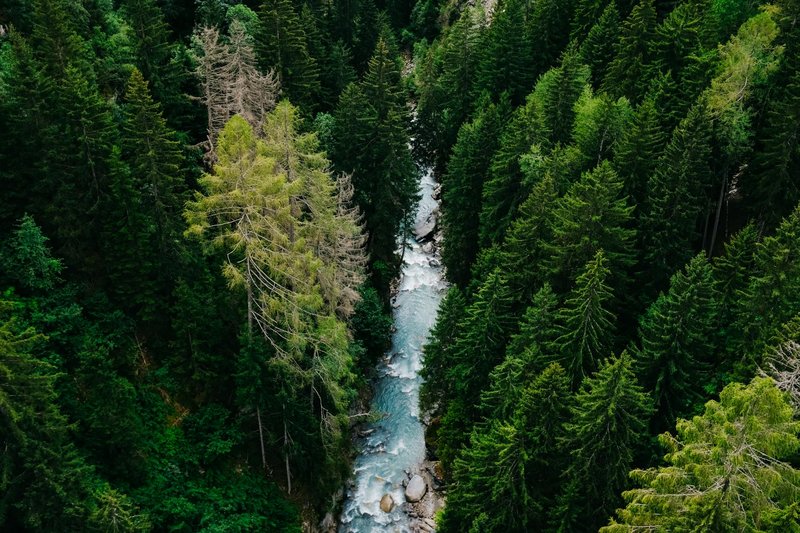 Stunning aerial image of a river cutting through a dense green forest.