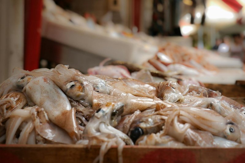 A close-up view of fresh squid displayed at a seafood market, showcasing texture and freshness.