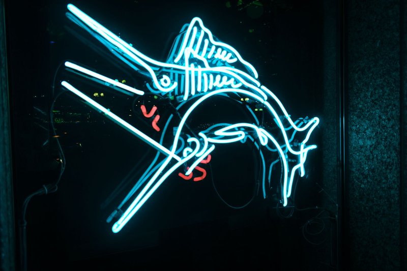 Close-up of a glowing neon marlin sign displaying vibrant colors against a dark background.