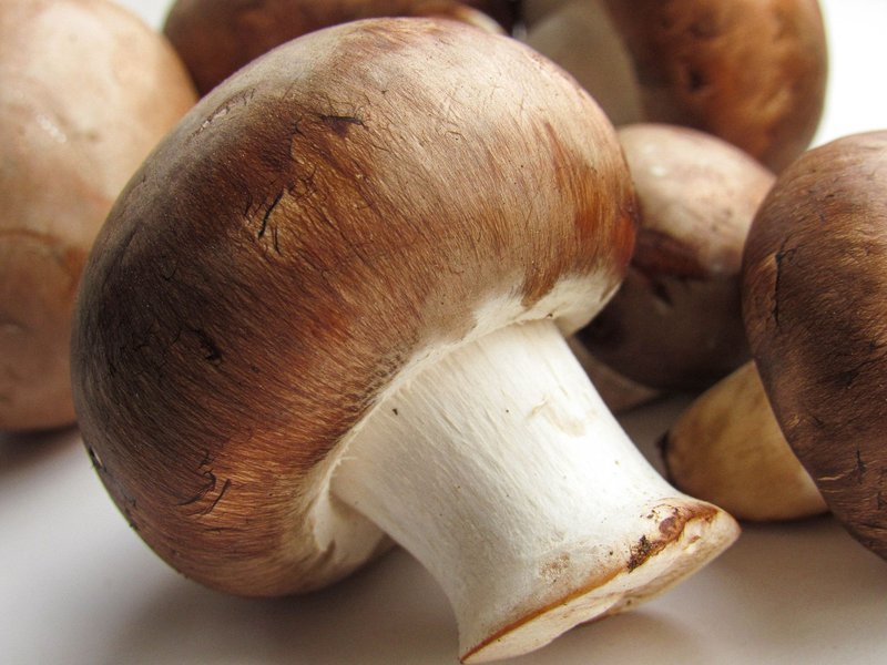 Detailed macro shot of fresh brown mushrooms showcasing their texture and natural color.