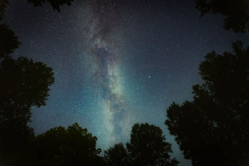A breathtaking view of the Milky Way amidst a dark silhouette of trees at night.