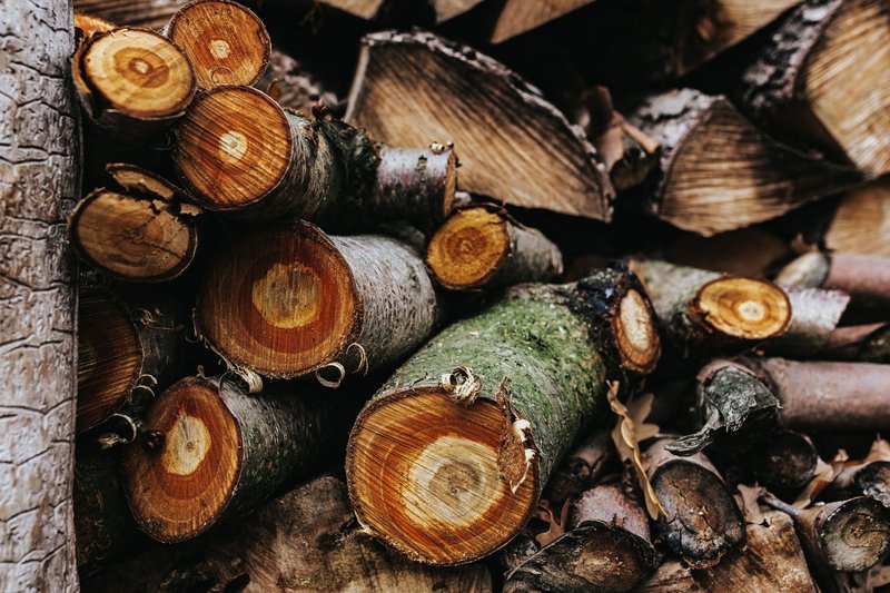 Close-up of chopped logs stacked outdoors, showcasing rich textures and natural wood patterns.