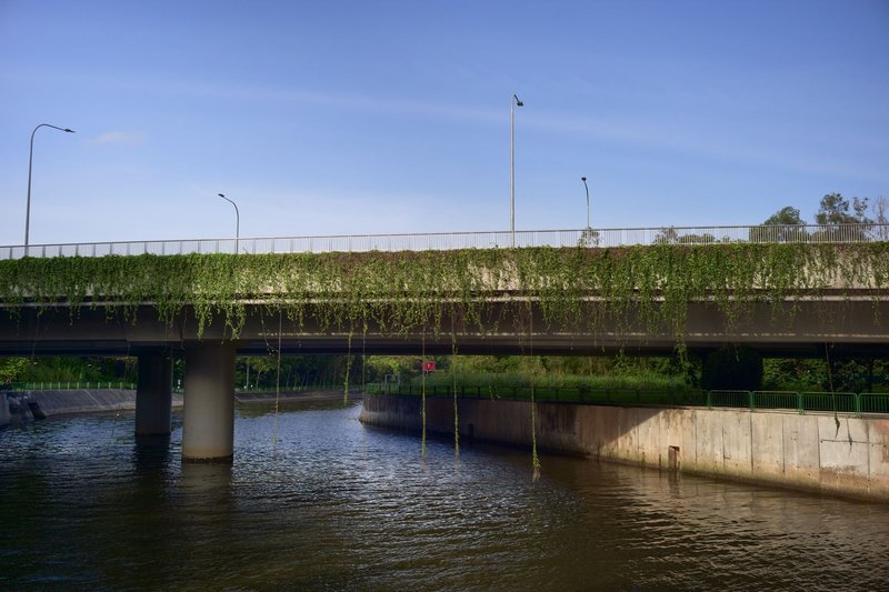 A tranquil river scene with ivy-covered bridge under a clear blue sky.