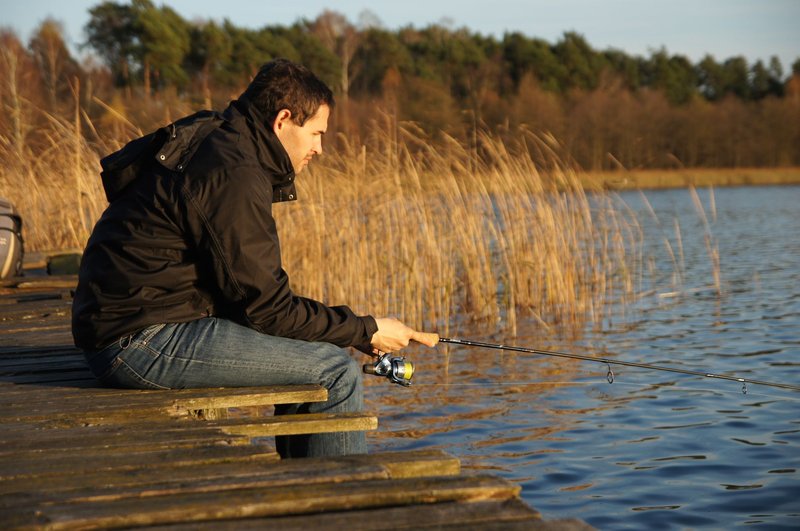 A man enjoys fishing on a tranquil lake pier surrounded by reeds and nature.