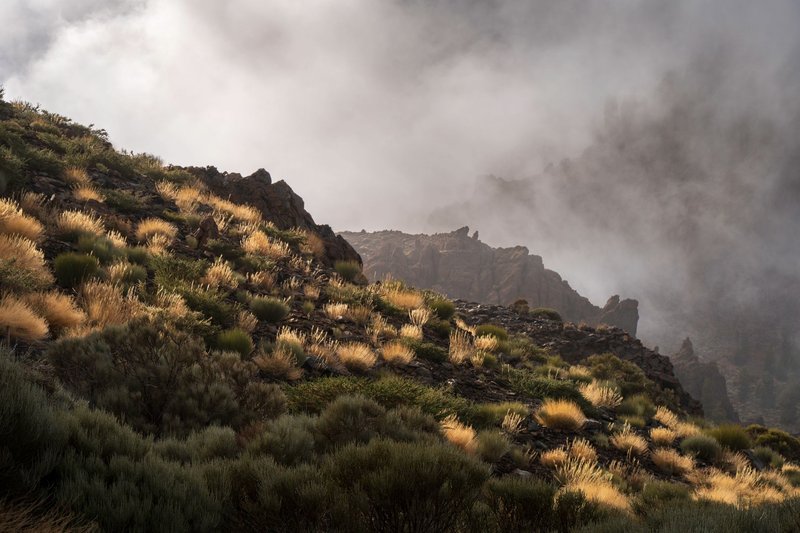 A picturesque mountain landscape enveloped in fog with lush vegetation.