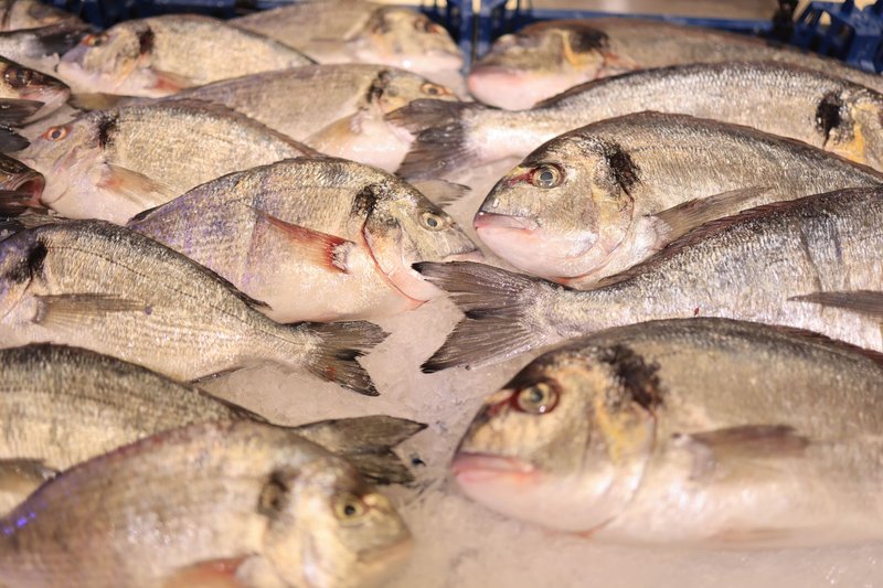 A close-up of fresh dorado fish arranged on ice in a market setting.