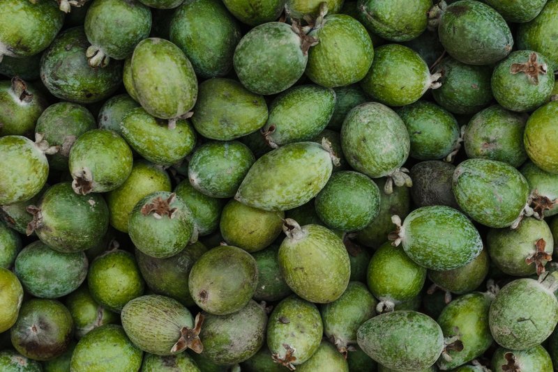 A vibrant top-down image showcasing a pile of fresh green feijoas, highlighting their natural texture.