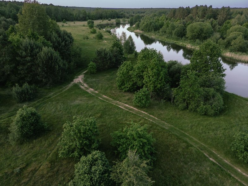 A tranquil aerial shot of a green landscape with a winding river, surrounded by trees.