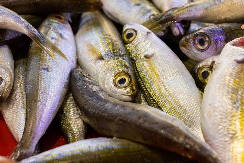 High-quality close-up image of fresh raw fish, perfect for seafood and food photography needs.