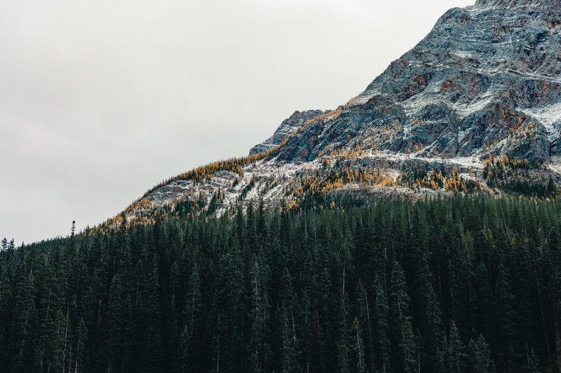 Serene autumn mountain landscape with evergreen forest and rocky peak.