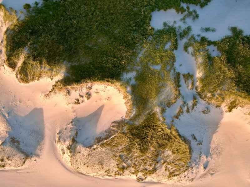 Drone shot of sand dunes and vegetation in Hvide Sande, Denmark.